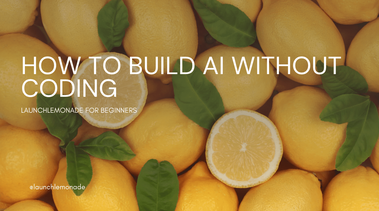 A beginner's guide to no code AI